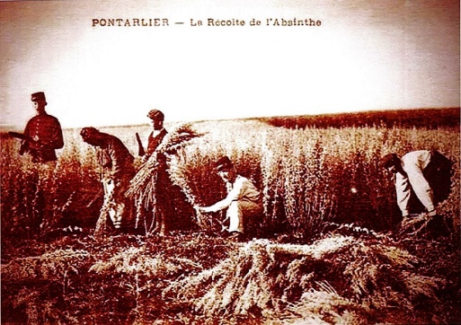 Lire la suite à propos de l’article La belle Époque de l’absinthe À Fougerolles
